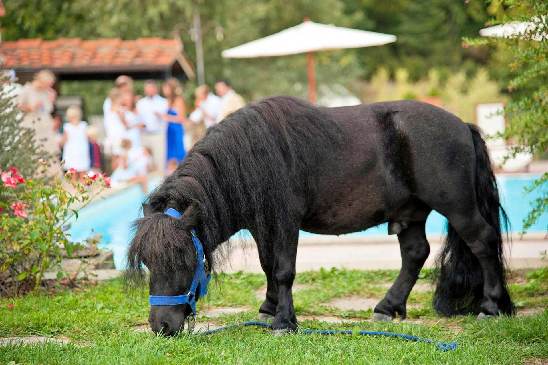 Child-friendly agriturismo in Eastern Tuscany