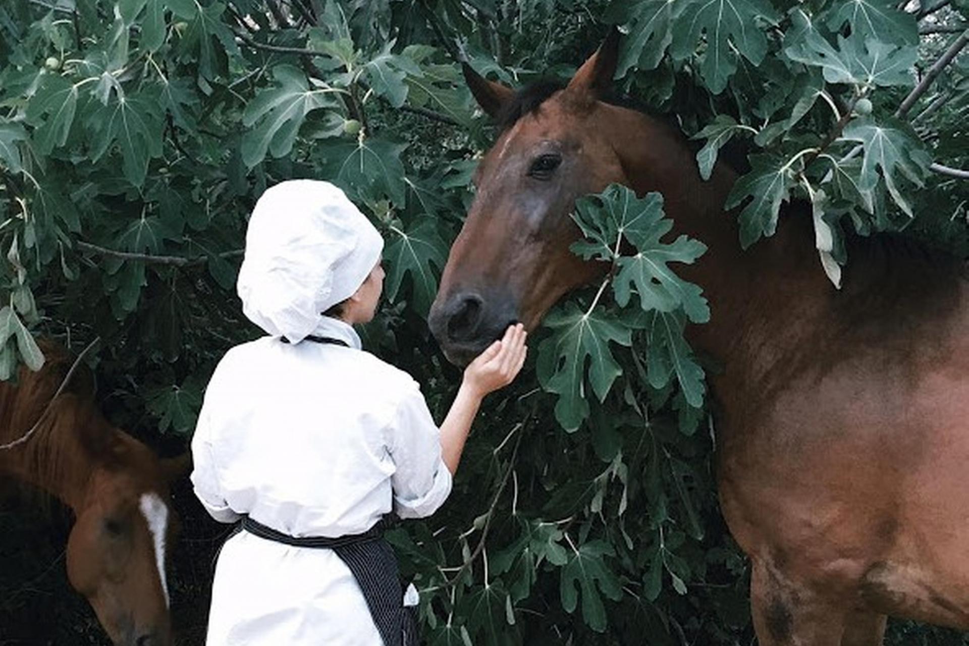 Organic agriturismo with horses