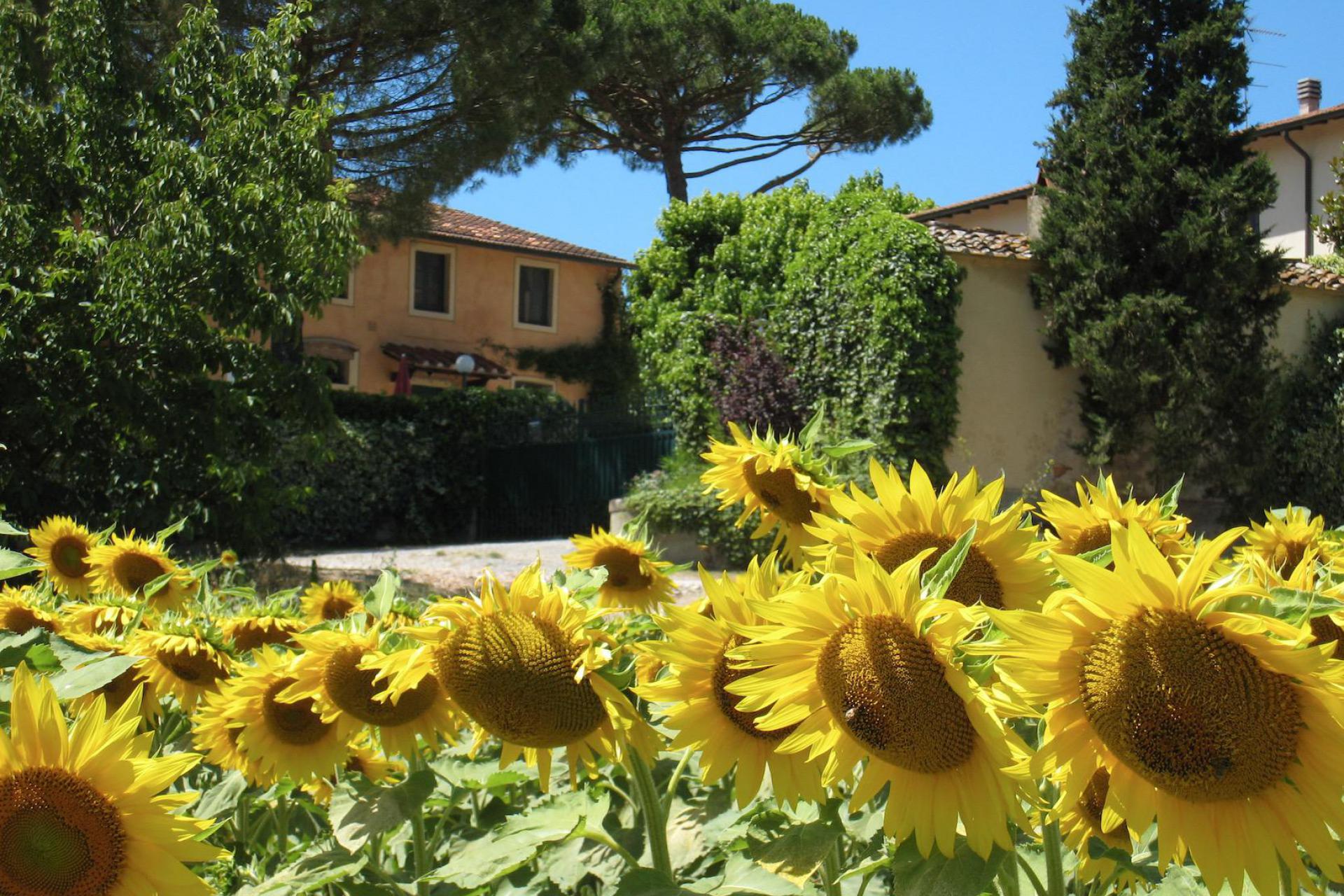 Family agriturismo with nice facilities