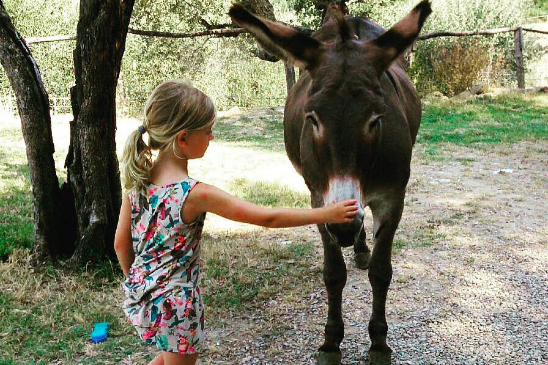 3. Hospitable agriturismo with farm animals