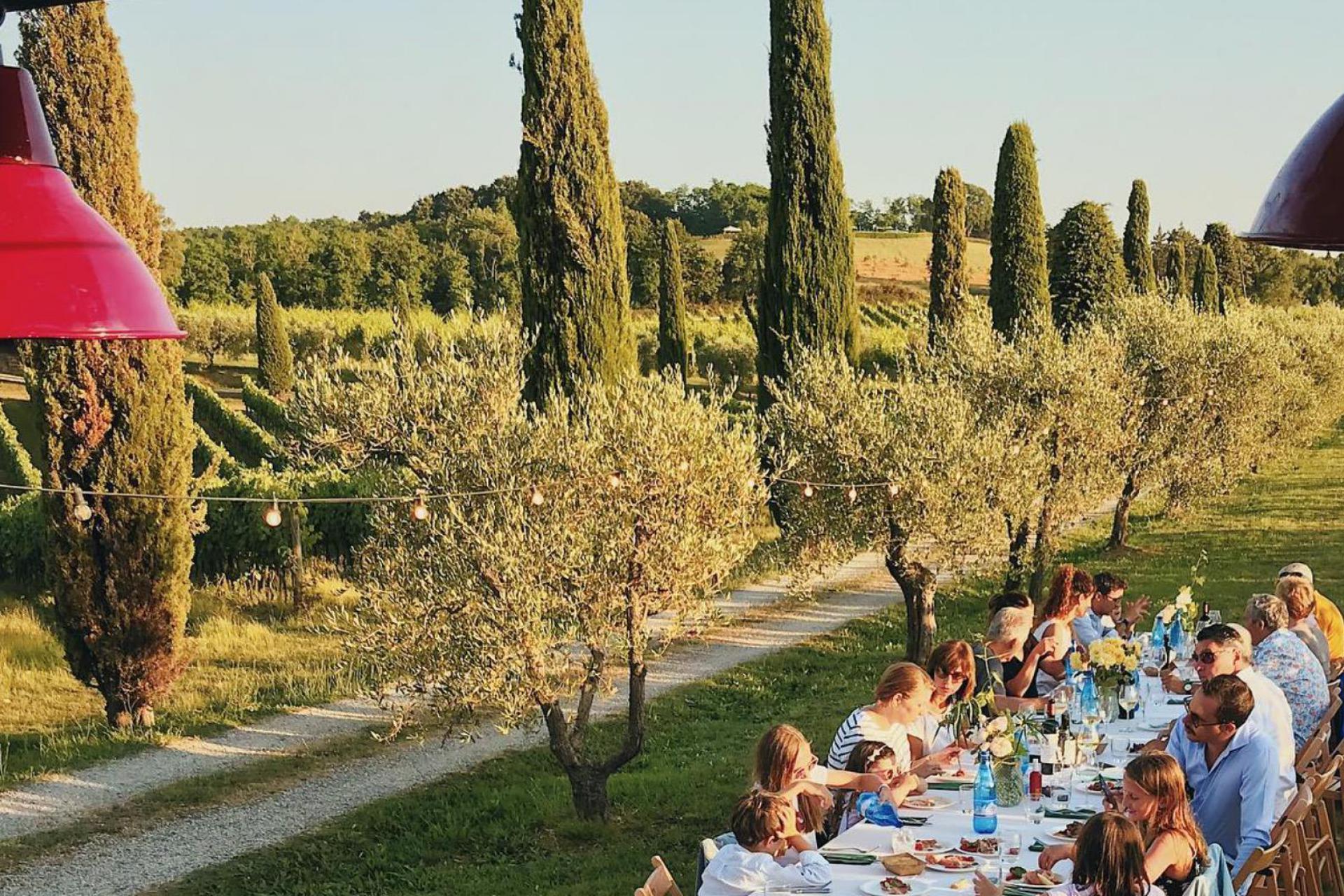 Luxury winery near Pisa
