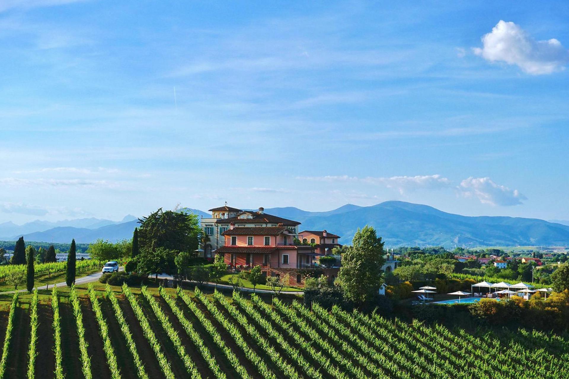 Luxury wine farm near Pisa and the coast