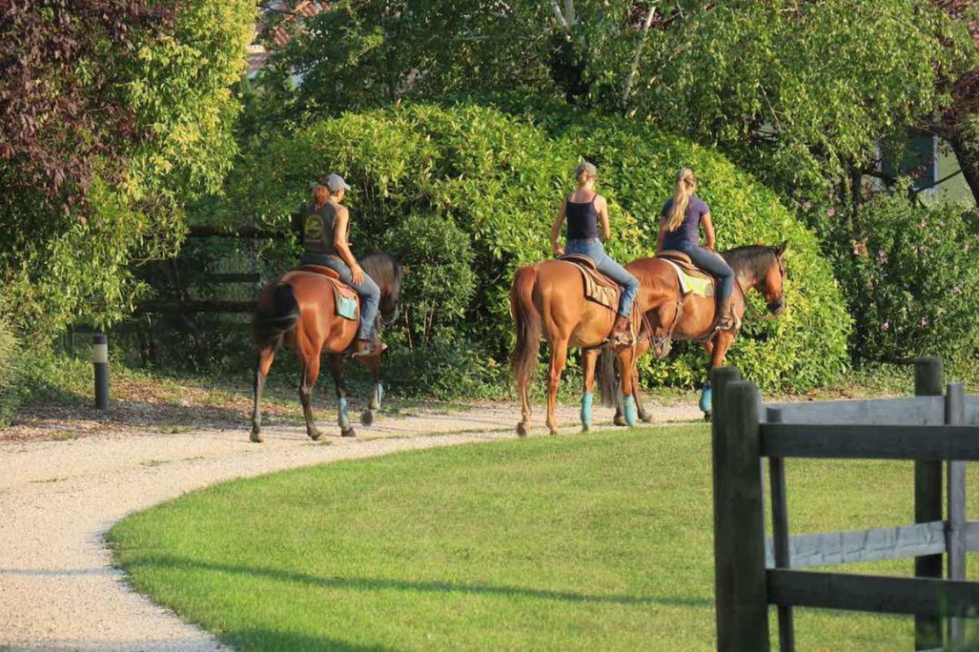 On holiday with your own horse