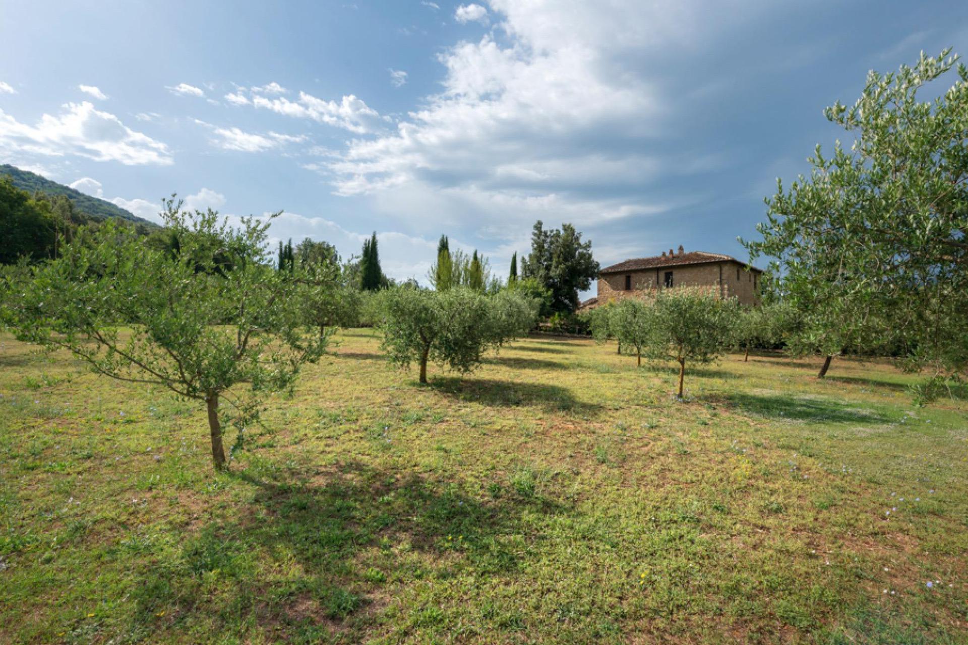 Agriturismo - Farmhouse for lovers of peace and comfort in Tuscany
