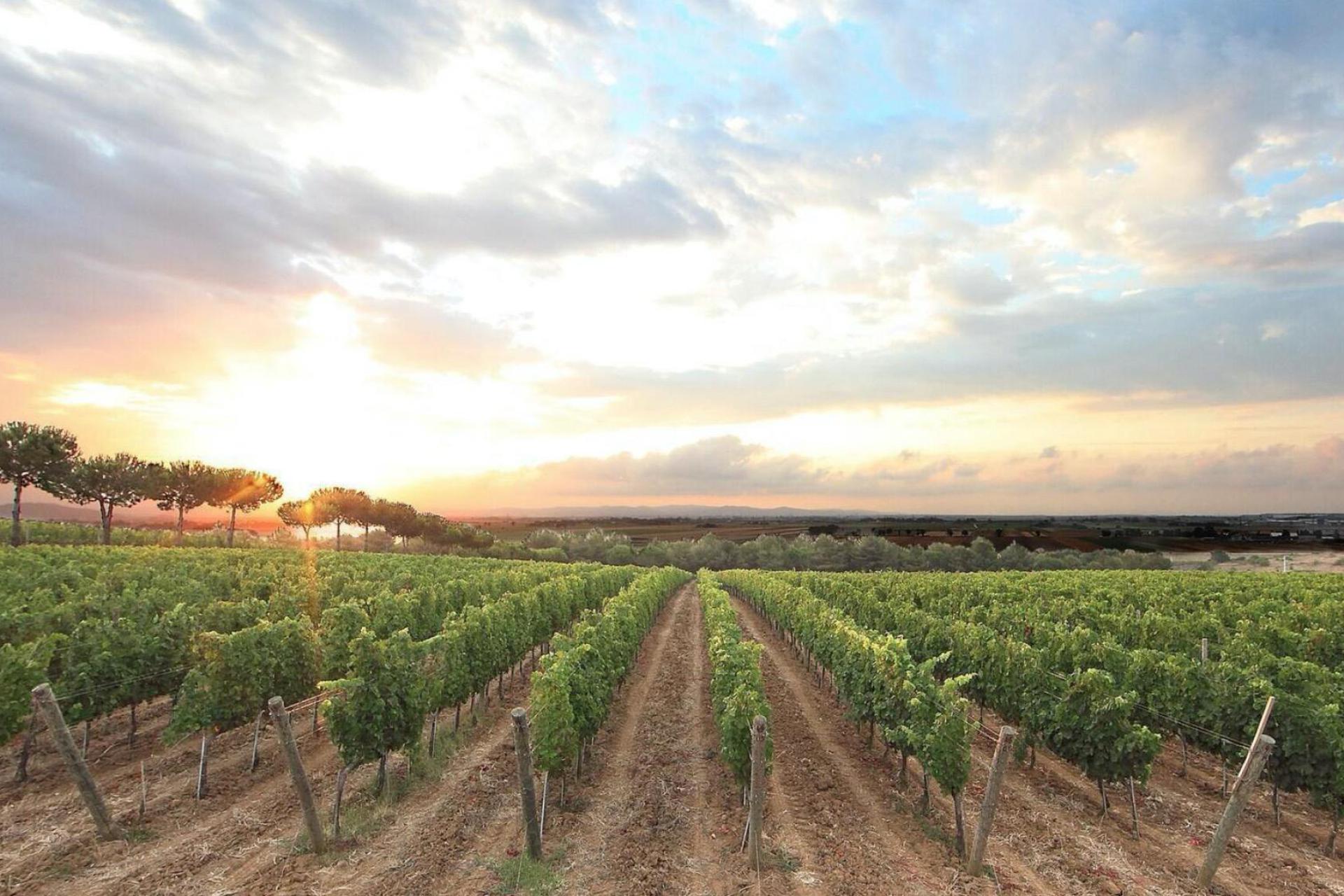 Glamping Tuscany in an agriturismo 2 km from the sea Glamping Tuscany in an agriturismo 2 km from the sea