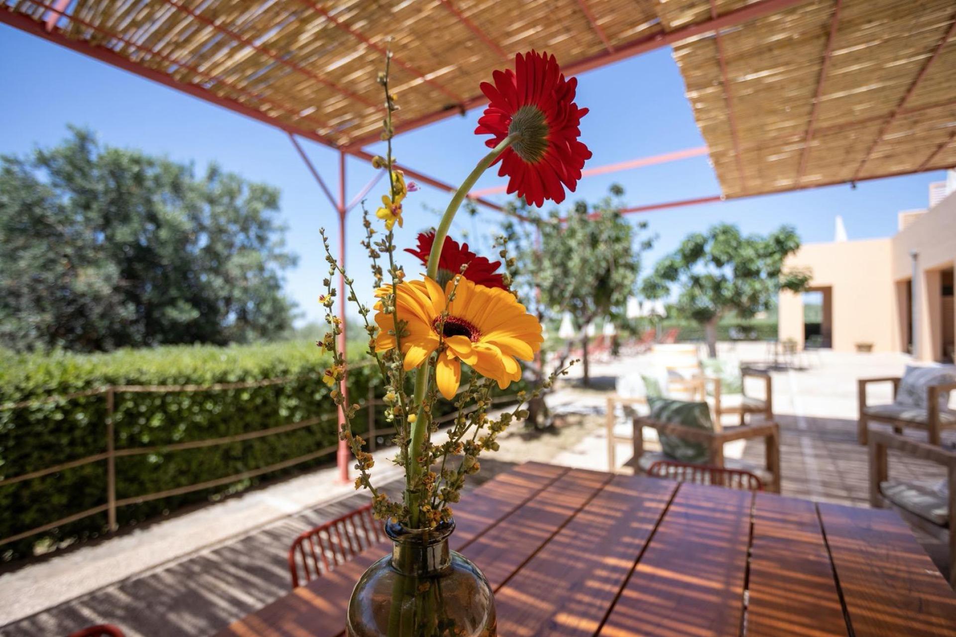 Agriturismo by the Sicilian sea