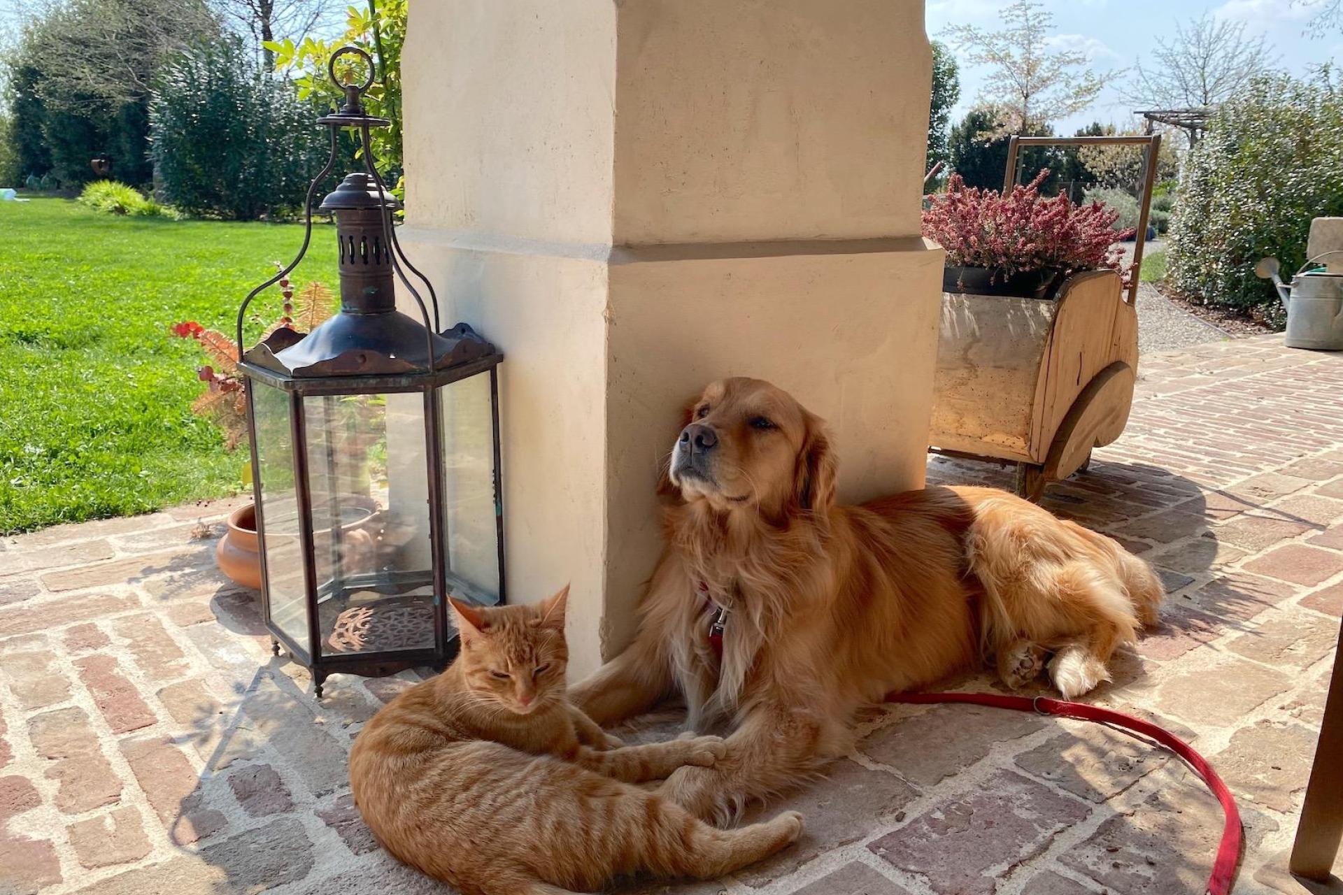 Restored farmhouse in Veneto
