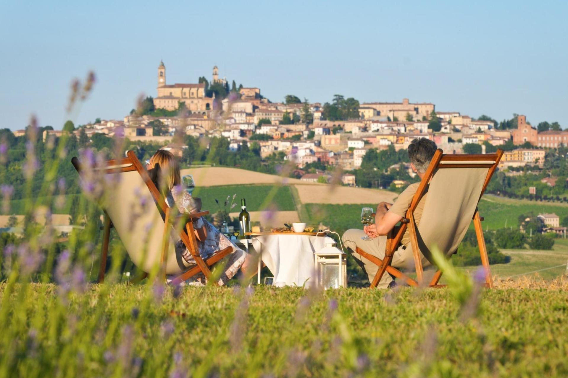 Authentic wine farm in Piedmont Authentic wine farm in Piedmont