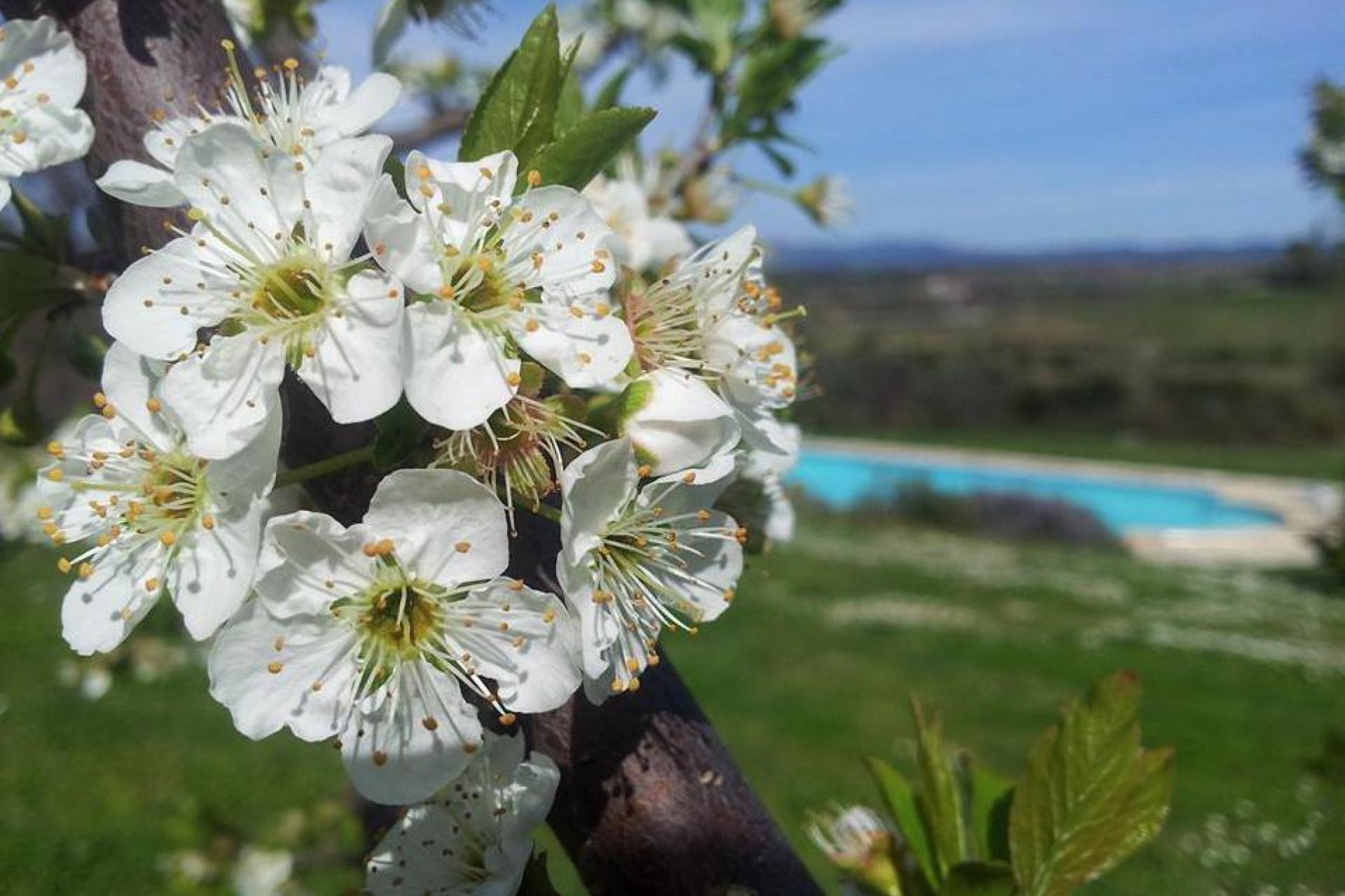 Agriturismo in the hills near the Tuscan coast