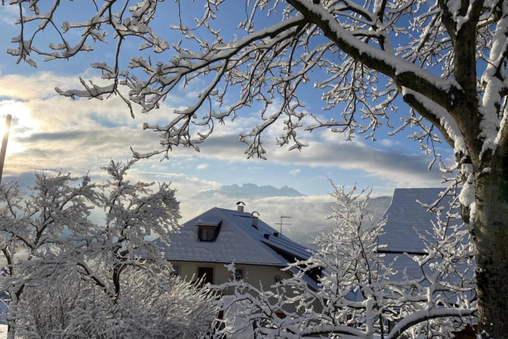 Luxury agriturismo with B&B rooms and Sudtiroler hospitality