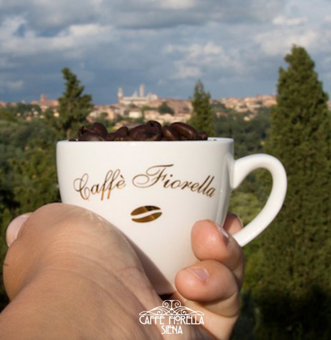 Margots tip Margots tip