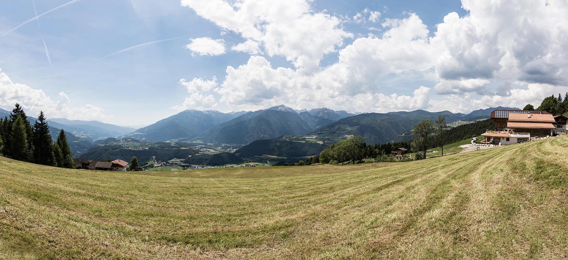 Agriturismo Dolomites Active agriturismo with farm animals in Trentino