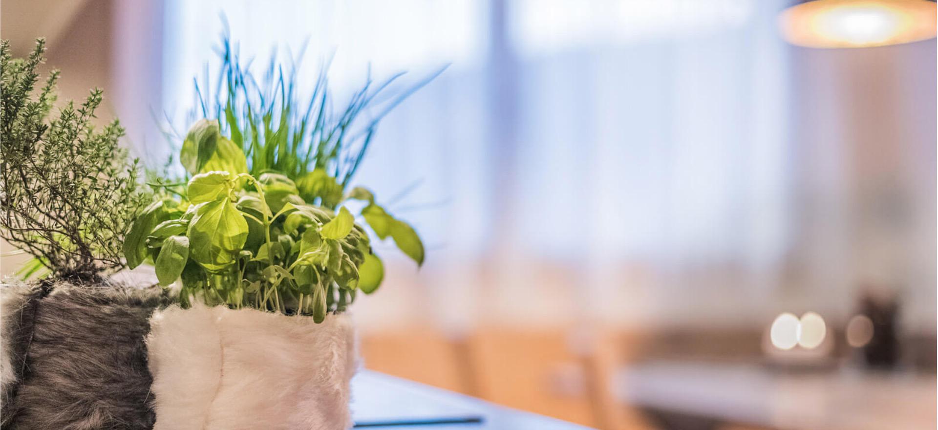 Agriturismo Dolomites Apartments in a friendly farmhouse in the Dolomites