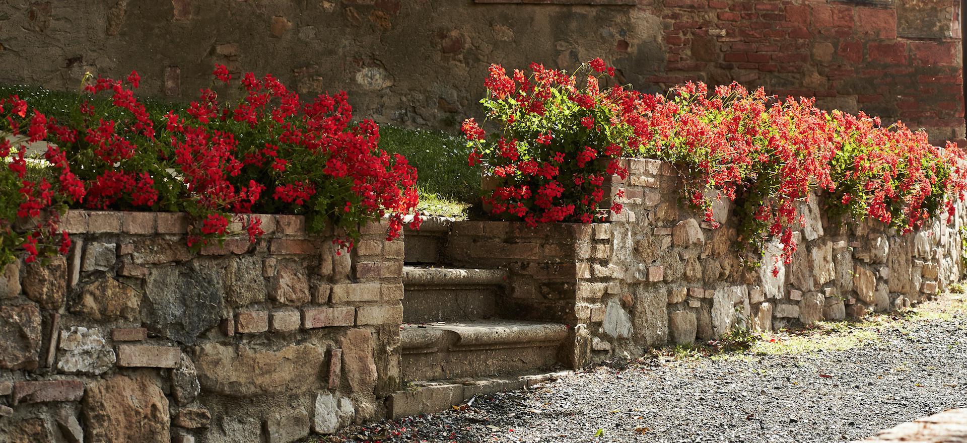 Agriturismo Tuscany Family-friendly agriturismo centrally located in Tuscany