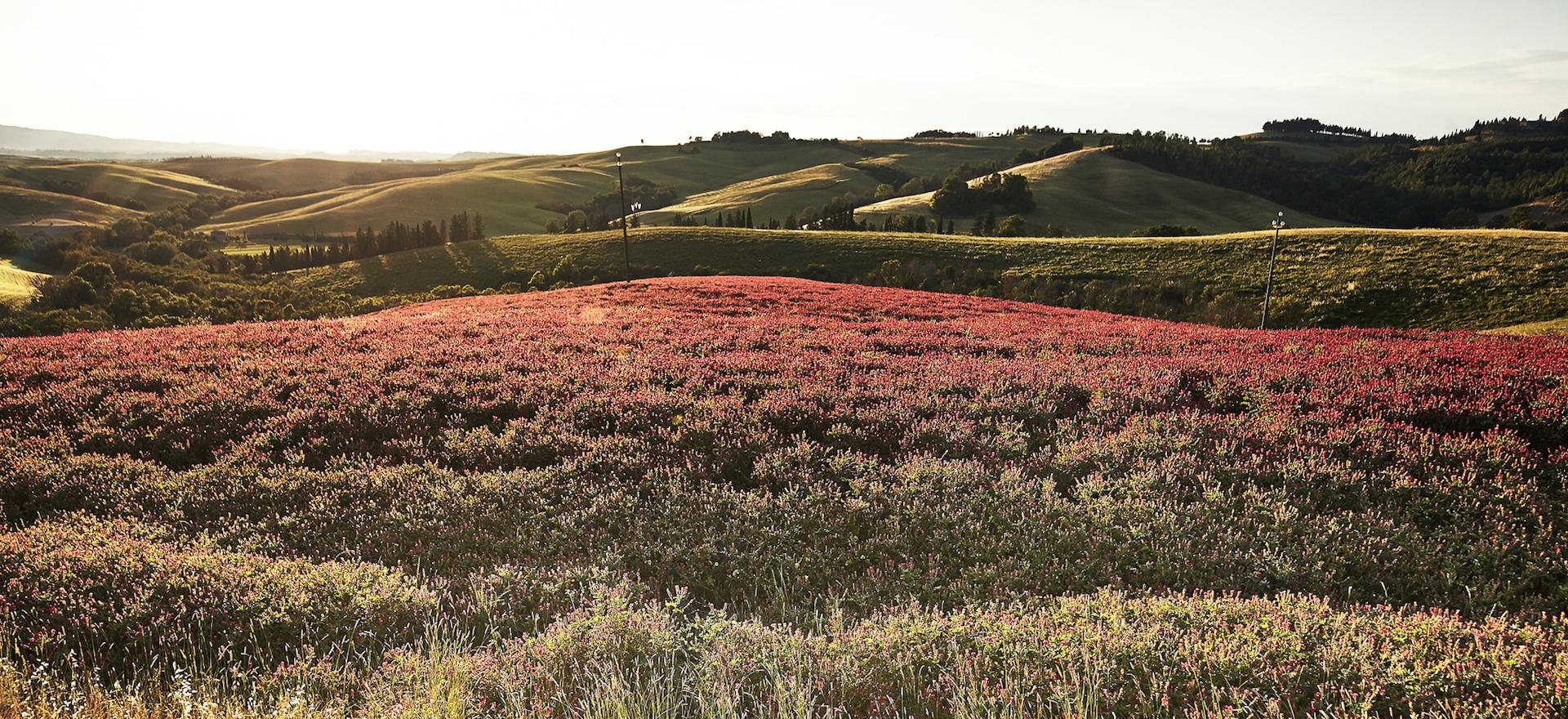 Agriturismo Tuscany Family-friendly agriturismo centrally located in Tuscany