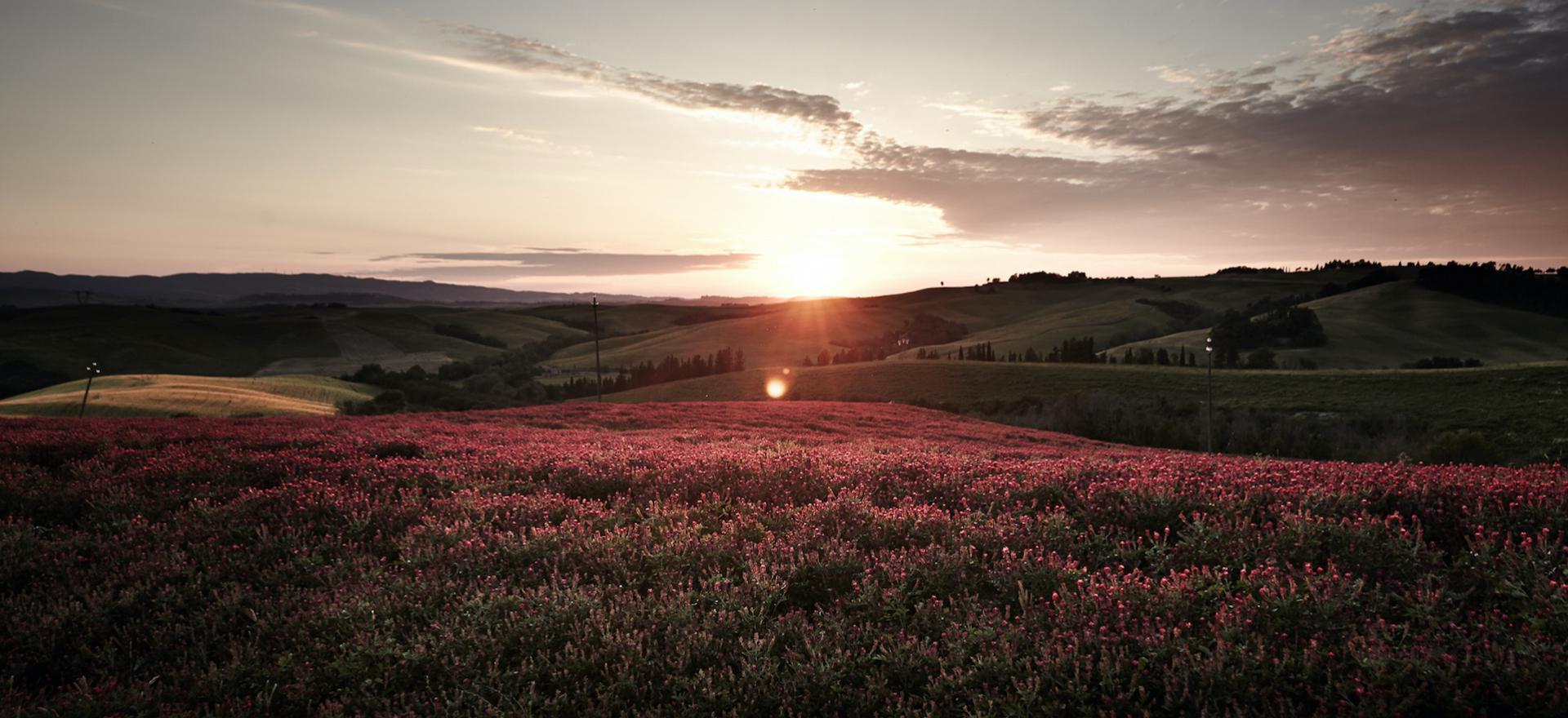 Agriturismo Tuscany Family-friendly agriturismo centrally located in Tuscany