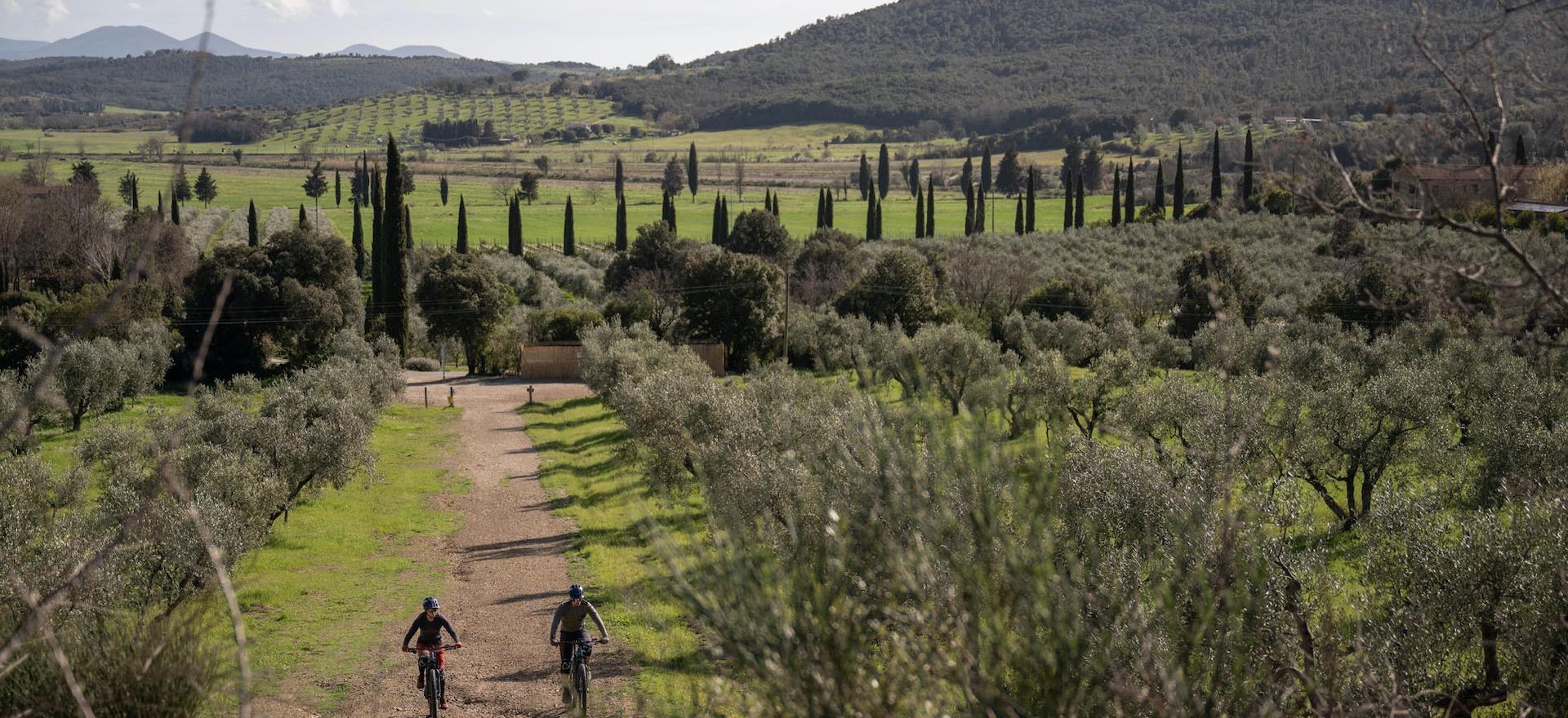 Agriturismo Tuscany Family-friendly agriturismo in Tuscany with restaurant