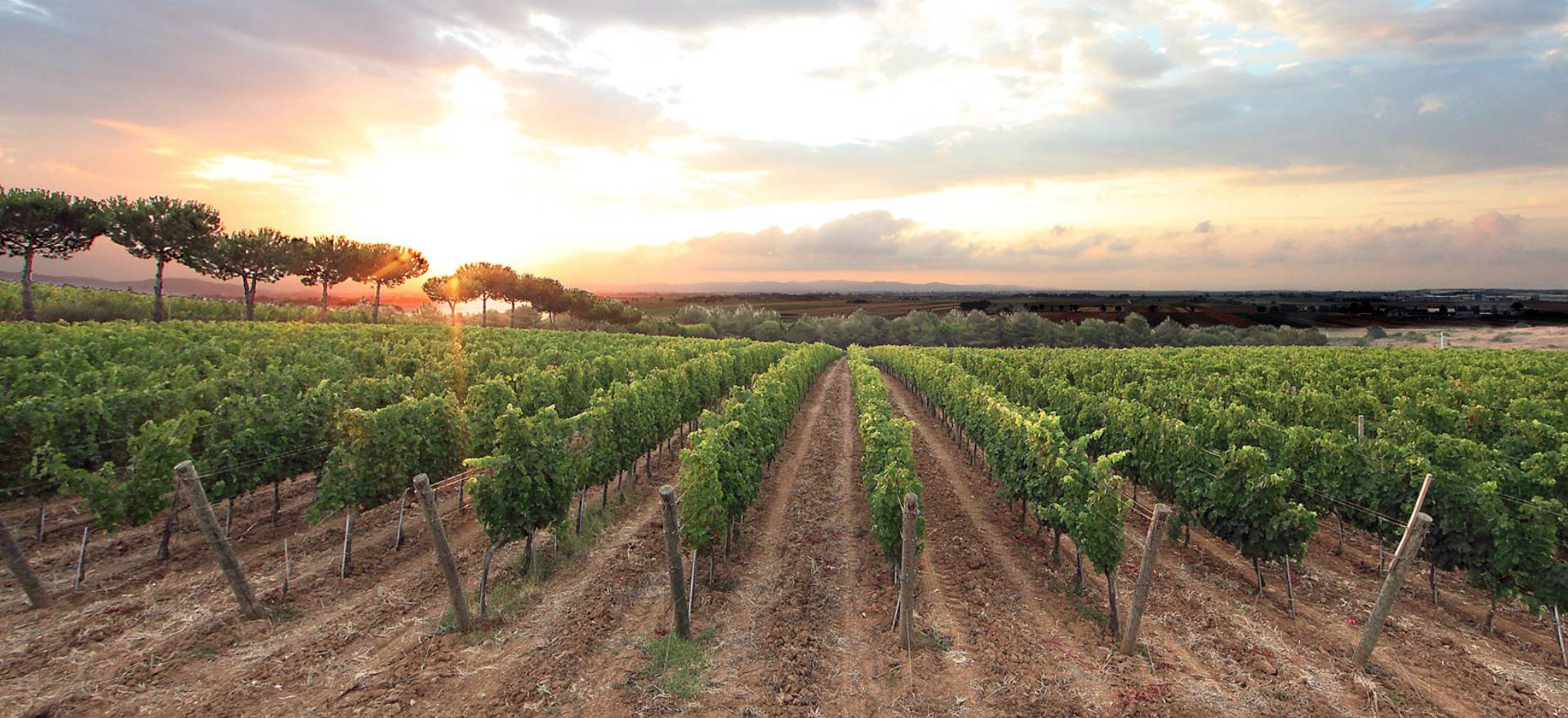 Agriturismo Tuscany Glamping Tuscany in an agriturismo 2 km from the sea
