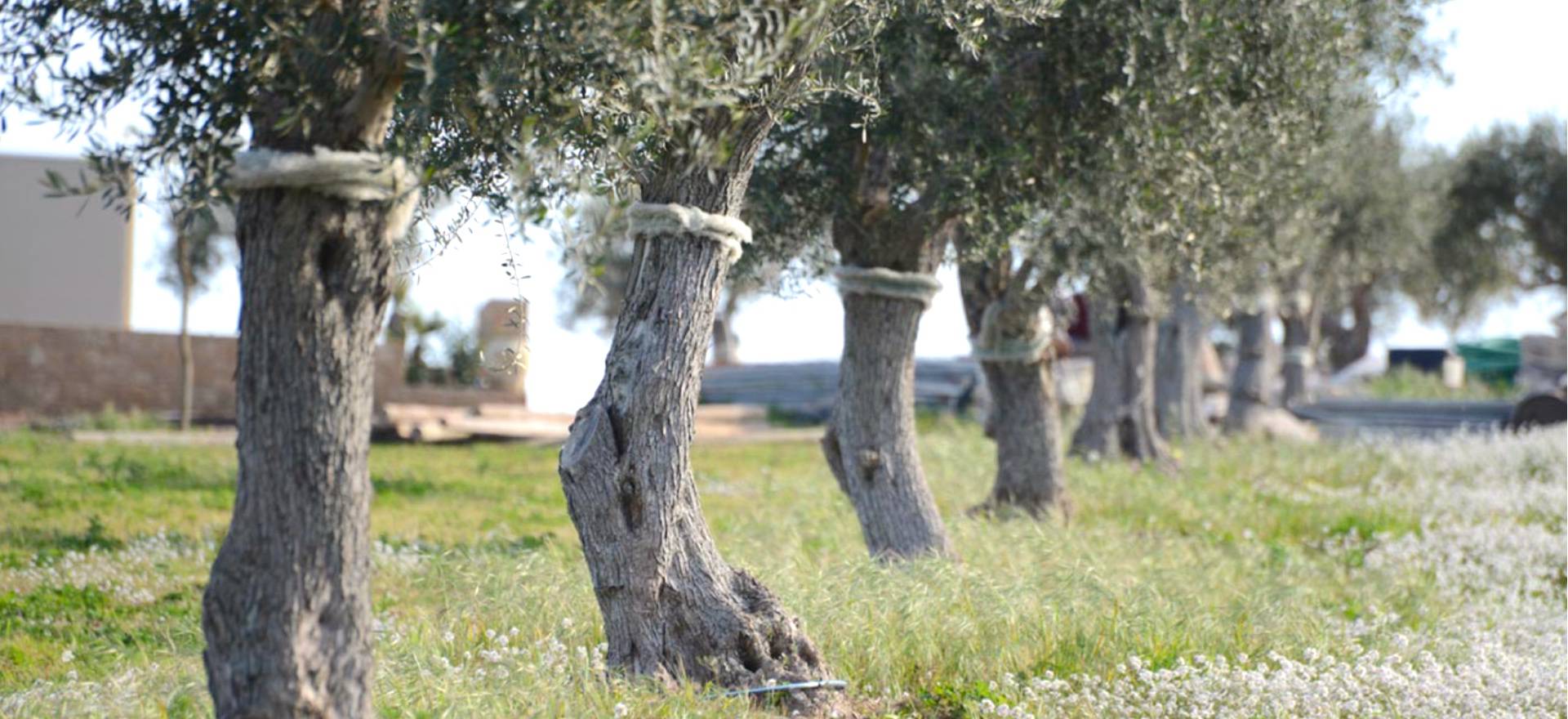 Agriturismo Sicily Luxury agriturismo for beach lovers
