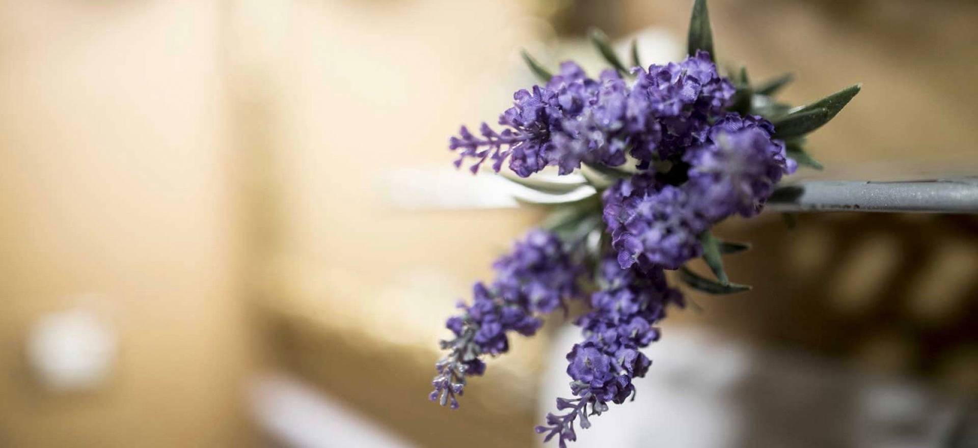 Agriturismo Tuscany Romantic agriturismo with views of San Gimignano