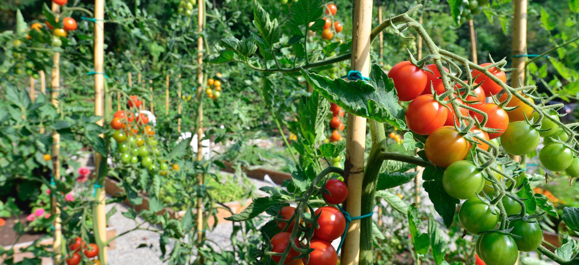 Agriturismo Lake Como and Lake Garda Small-scale luxury resort with outstanding views