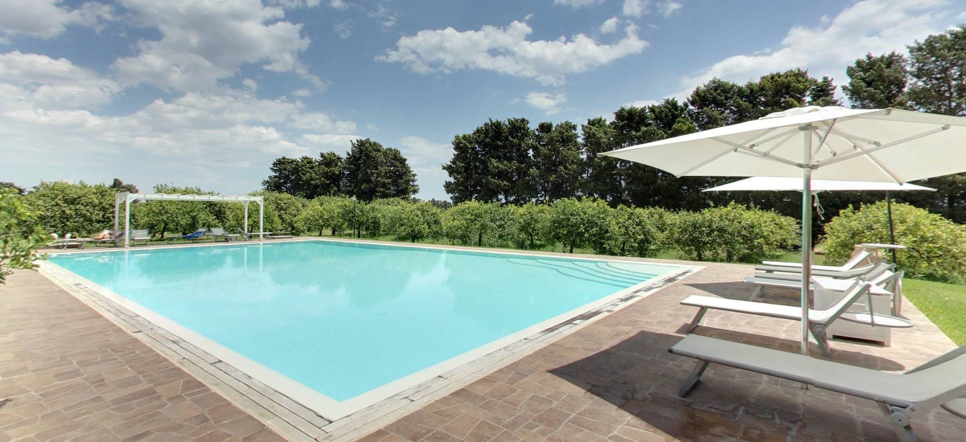 charlie's dating profile